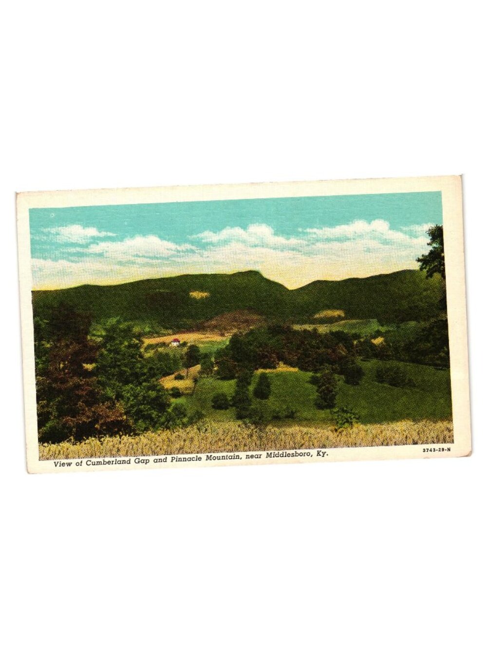 Vintage Postcard Cumberland Gap Pinnacle Mountain Near Middlesboro KY Landscape